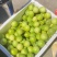 佳蜜2号大量有货