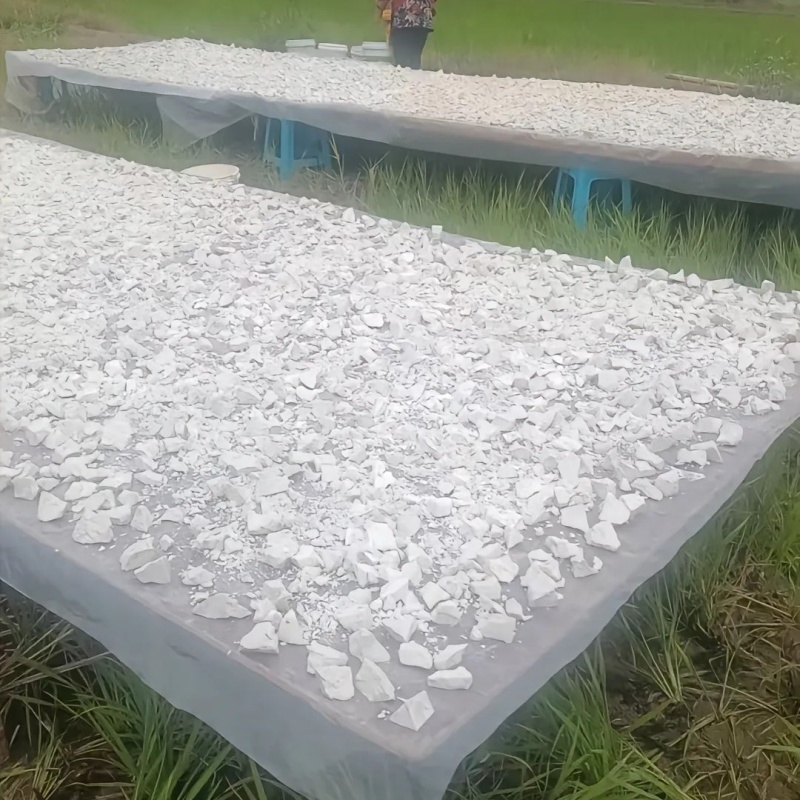 正宗湖南常德红薯粉，价格公道，童嫂无欺！量大可批发