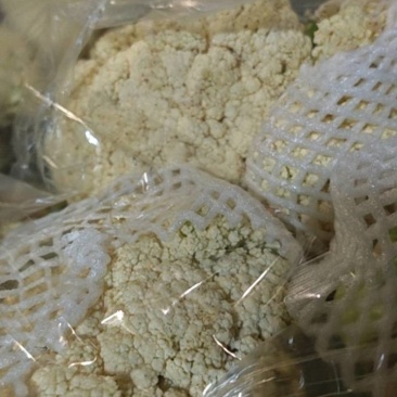 山东散花