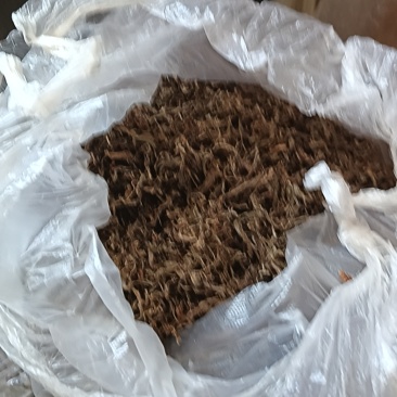 巫溪手工老鹰茶