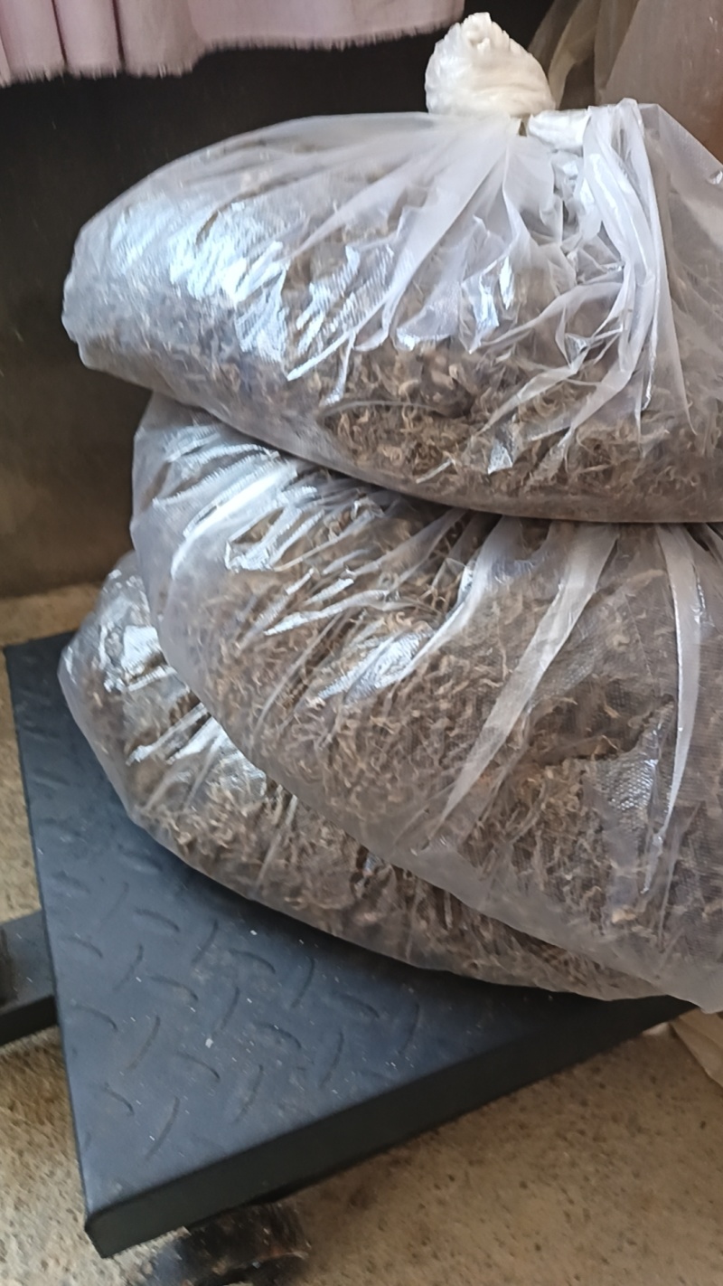 巫溪手工老鹰茶