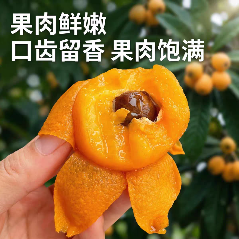 贵州荔波枇杷