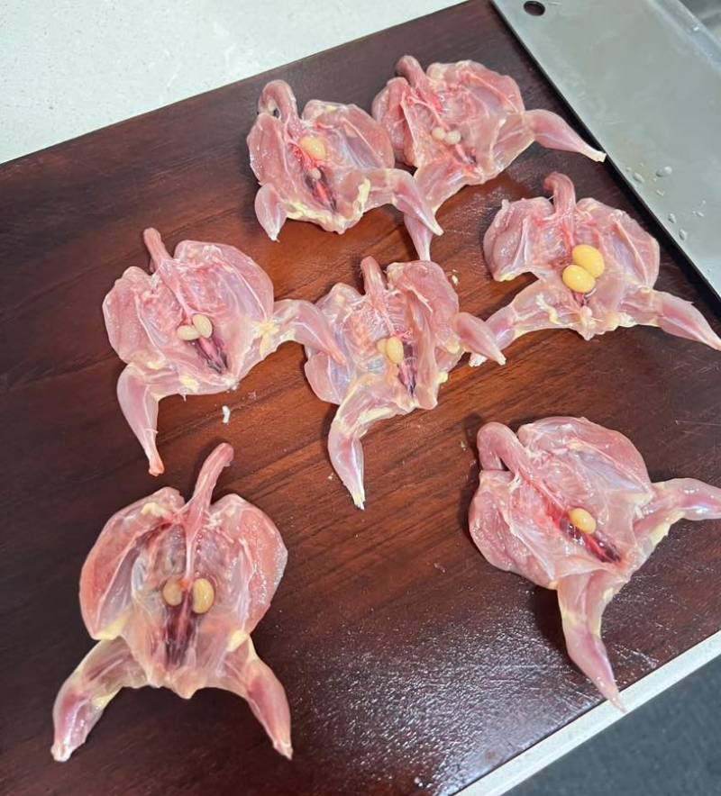 桂花雀（芦丁鸡）白条批发