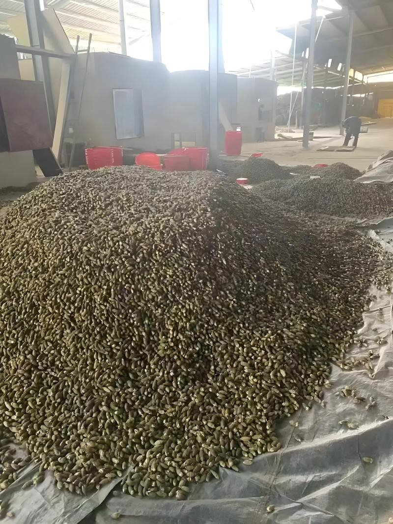 果大