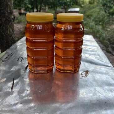 ***土蜂蜜，百花蜜，假一赔十！自家养的蜂，金黄透亮，