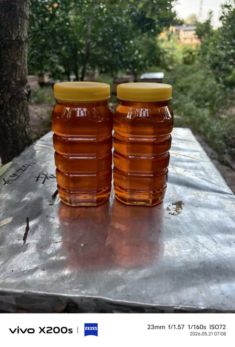 ***土蜂蜜，百花蜜，假一赔十！自家养的蜂，金黄透亮，