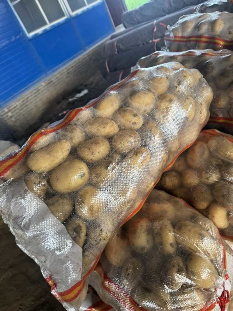 2-3两