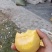 黄桃1号