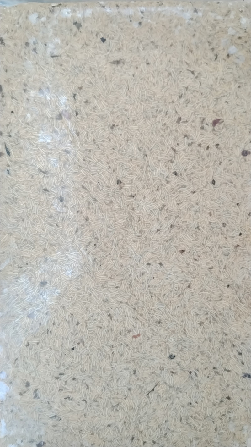 蒸煮和活冻蝇蛆虫