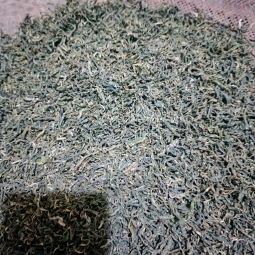 绿茶/毛茶