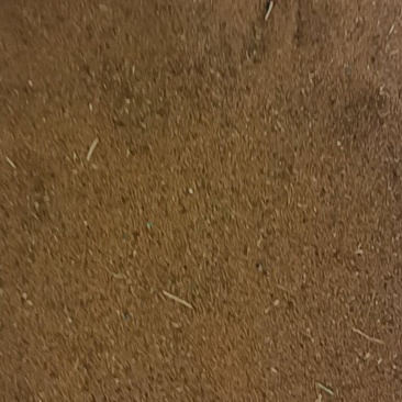 中药材米米蒿籽