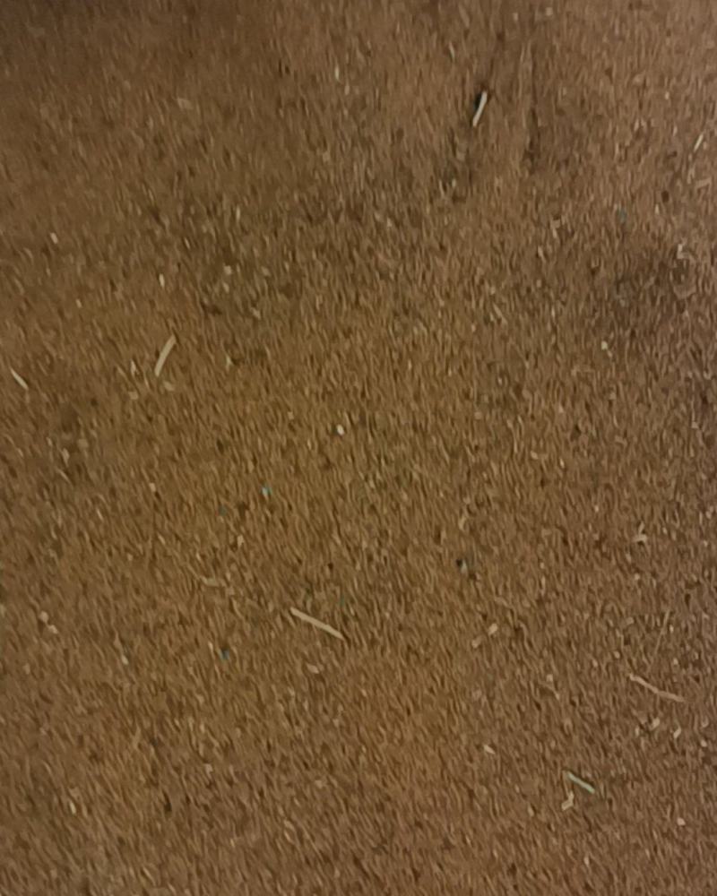 中药材米米蒿籽