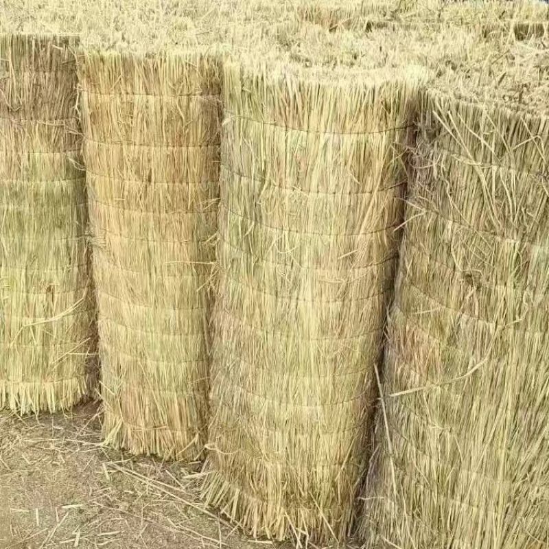 草苫子，绿化工程草帘子，保温草苫产地直发品质保障量大从优