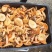 野生菌