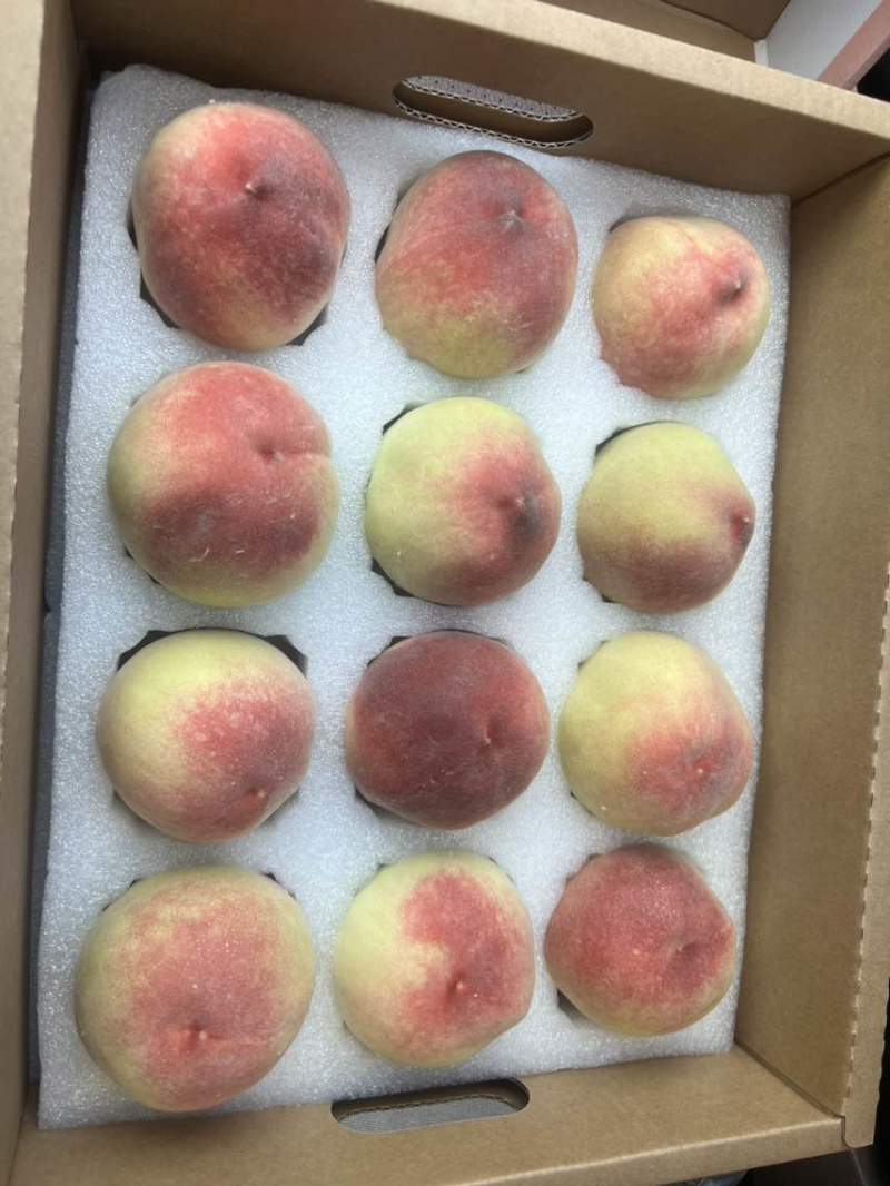 一件代发，无锡阳山水蜜桃。商超档口可供