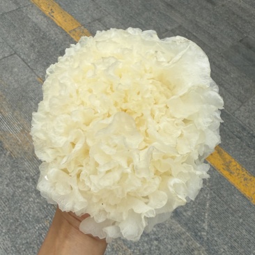 银耳干品