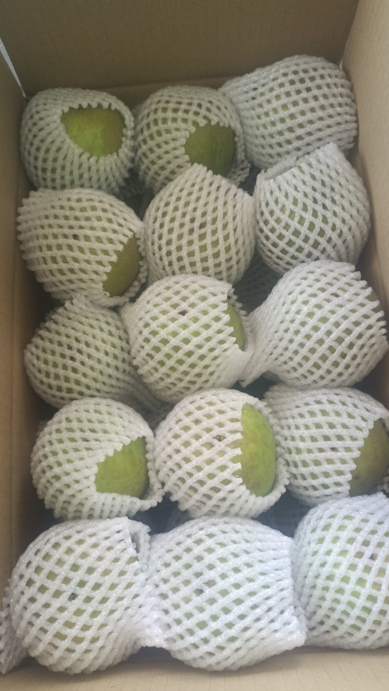 翠冠梨
