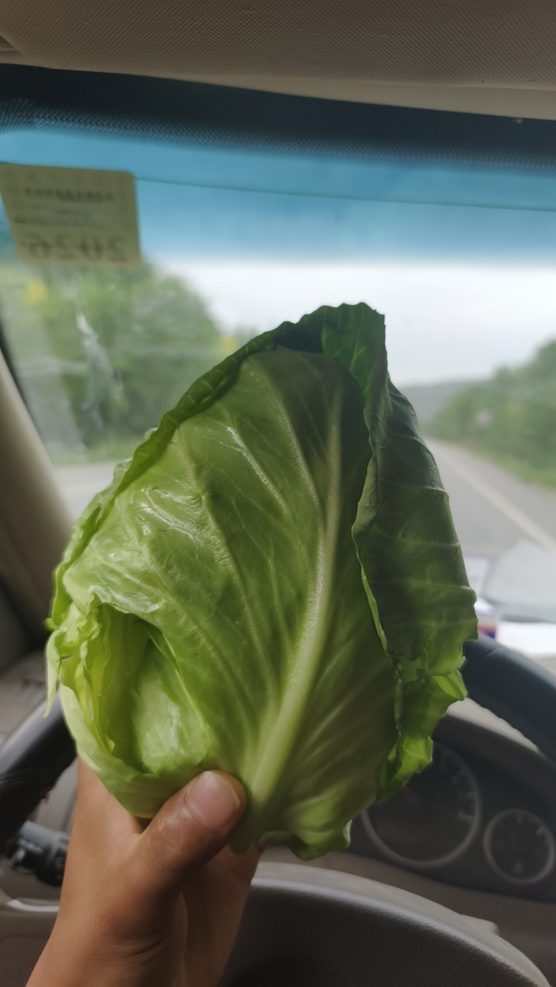 精品中甘