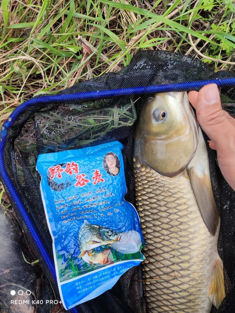 钓鱼饵料商品主要成分由玉米，稻谷，麦子加食用添加剂合成
