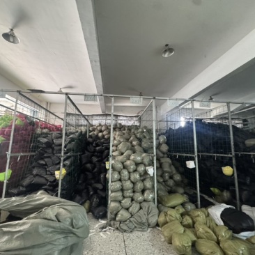 遮阳网适用于养殖种植家用