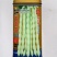 王中王U2架豆种子高产嫩荚白绿荚豆角种籽中早熟无筋架豆大田种
