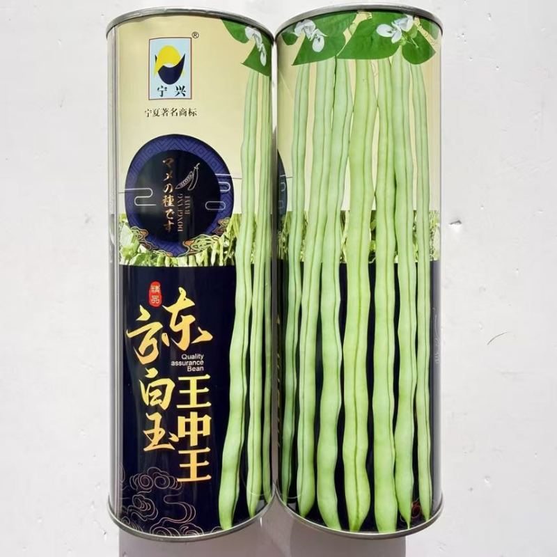 东方白玉王中王架豆种子芸豆白绿荚中晚熟蔓生菜豆种子春夏秋季播