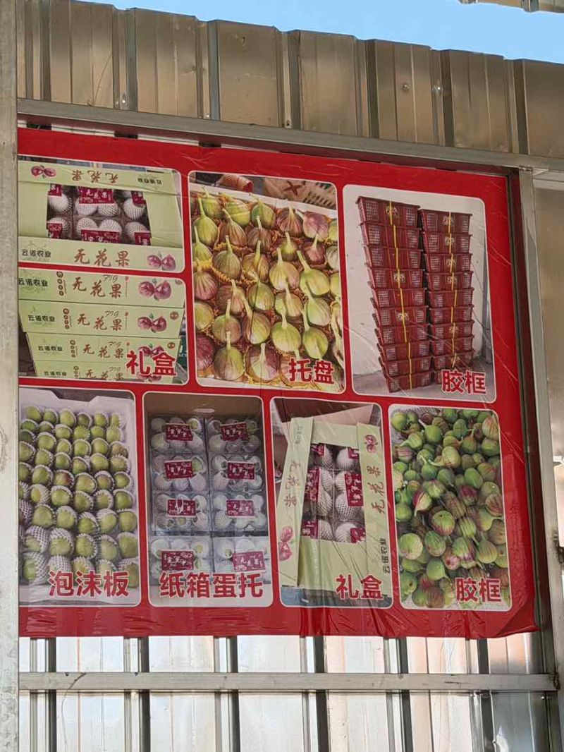 东川正季节无花果产地直发支持代发当天空运到保证新鲜