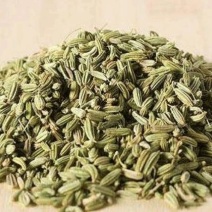 甘肃酒泉孜然