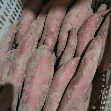 特产山西西瓜红二两起