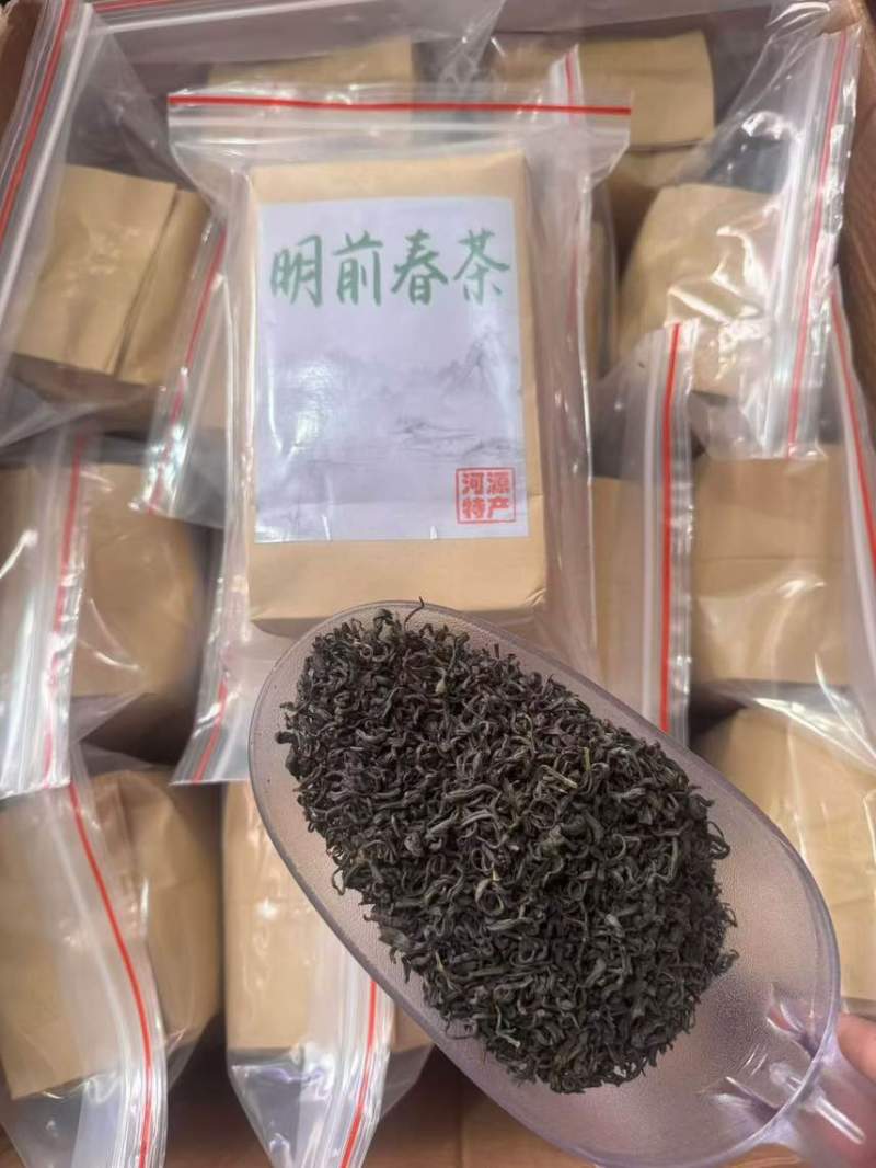 河源本地明前春茶高山绿茶农家土茶河源特产明前春茶