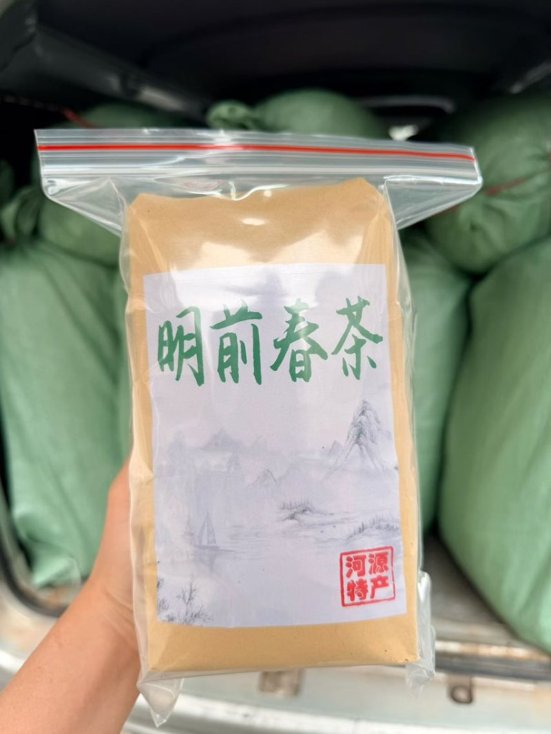 河源本地明前春茶高山绿茶农家土茶河源特产明前春茶