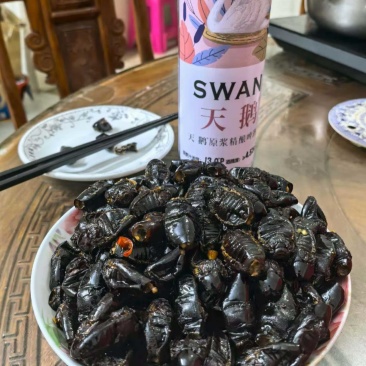 马友鱼