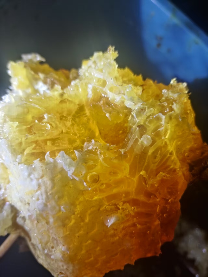 重庆巫溪县正宗土蜂蜜