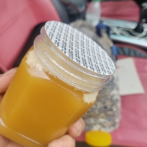 重庆巫溪县正宗土蜂蜜