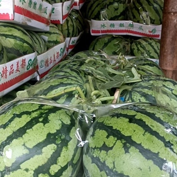 精品美都