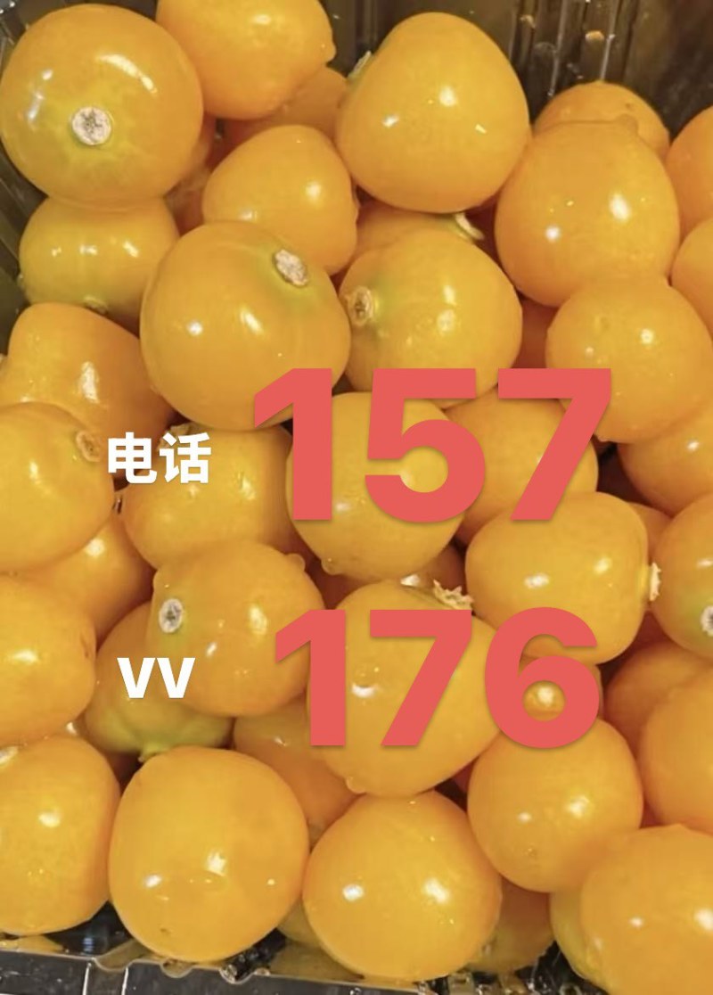 黄菇娘果