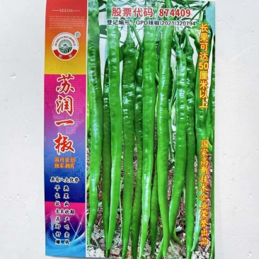 苏润一椒线椒种子早熟抗病采收期长产量高绿色长条椒线辣椒种孑