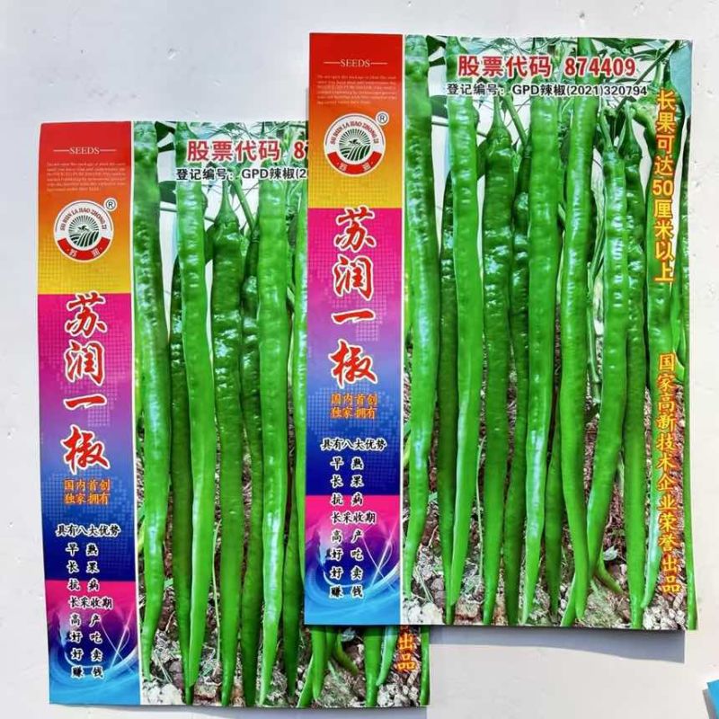苏润一椒线椒种子早熟抗病采收期长产量高绿色长条椒线辣椒种孑