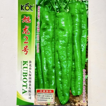 久保田旭龙2号牛角椒种子特大果辣椒种子高产粗长牛角椒果型美观