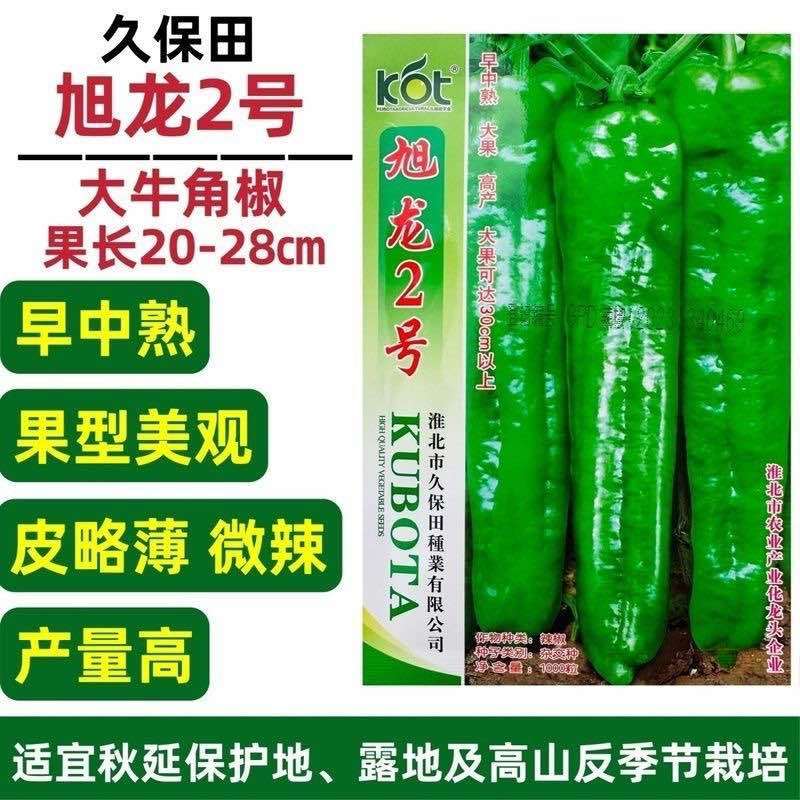 久保田旭龙2号牛角椒种子特大果辣椒种子高产粗长牛角椒果型美观