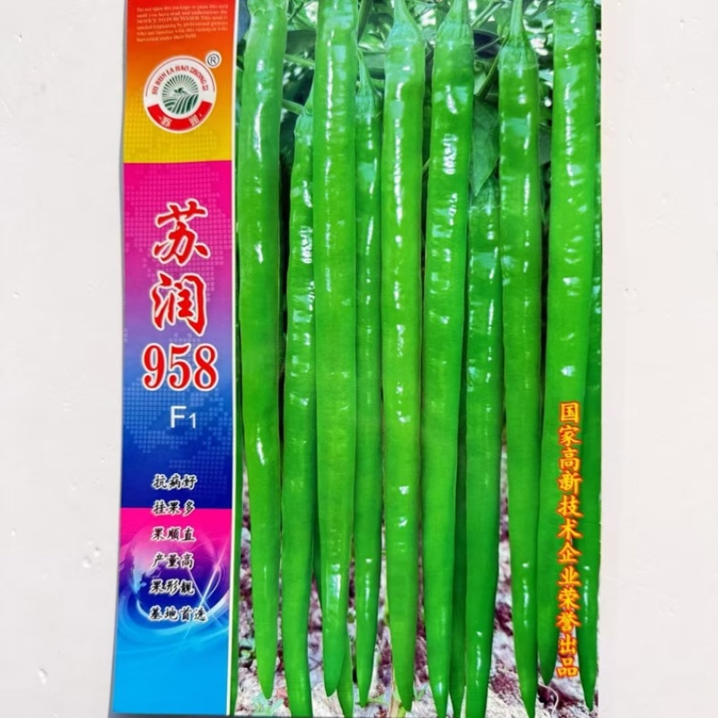 苏润958线椒种子超长特辣薄皮高产果条顺直春秋四季大棚新品