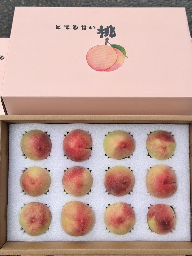 龙泉驿水蜜桃🍑精品礼盒装12枚，15枚