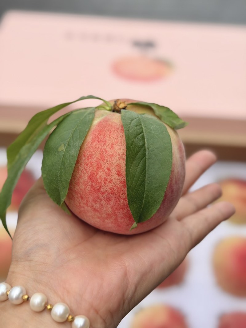 龙泉驿水蜜桃🍑精品礼盒装12枚，15枚