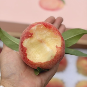 龙泉驿水蜜桃🍑精品礼盒装12枚，15枚