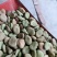 干蚕豆四川干蚕豆