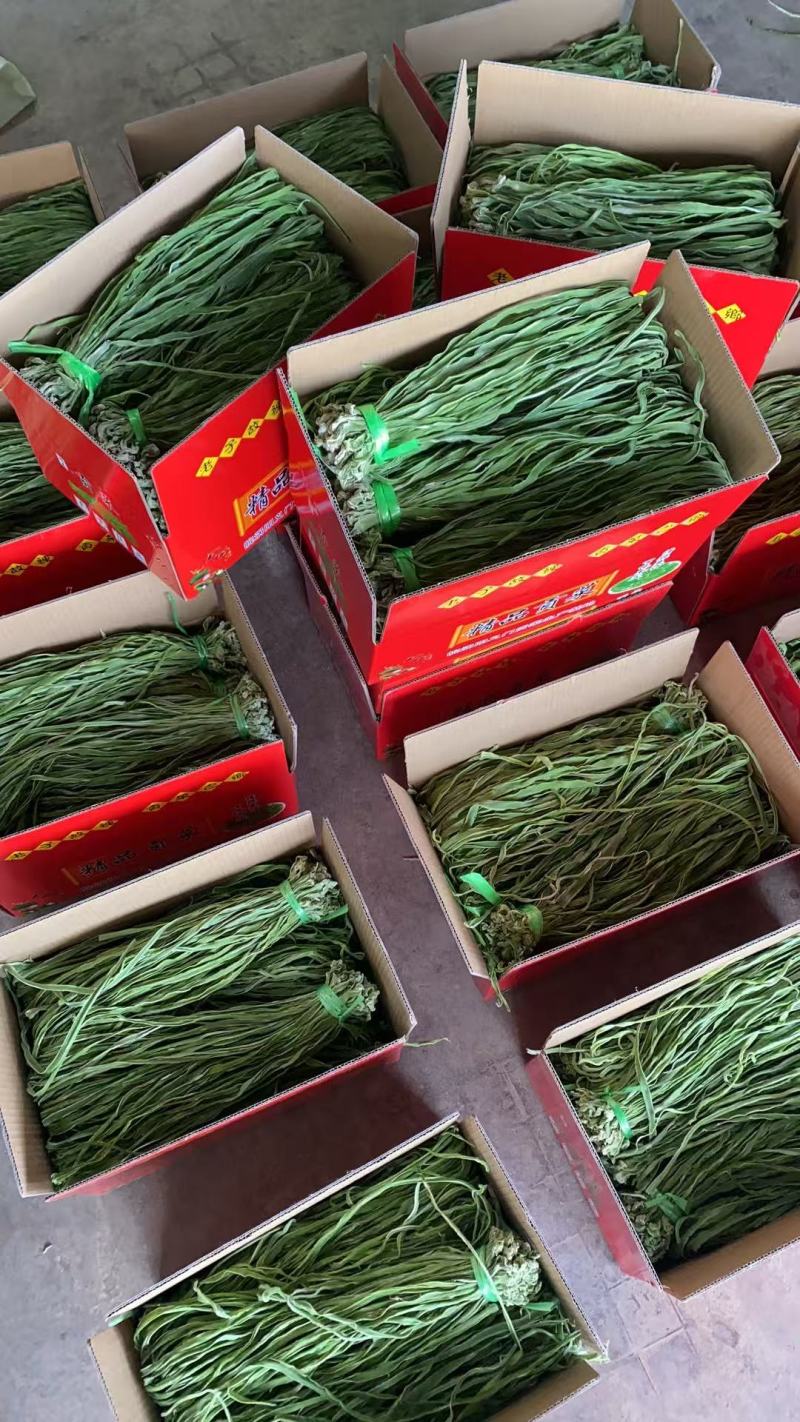 贡菜批发，一手价，品质稳，供应快，合作共赢！