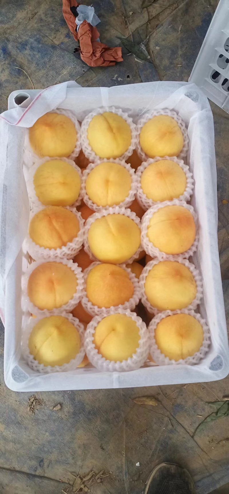 春蜜，春雪，突围，黄桃