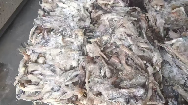 鳕鱼排一天一柜