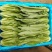油麦菜