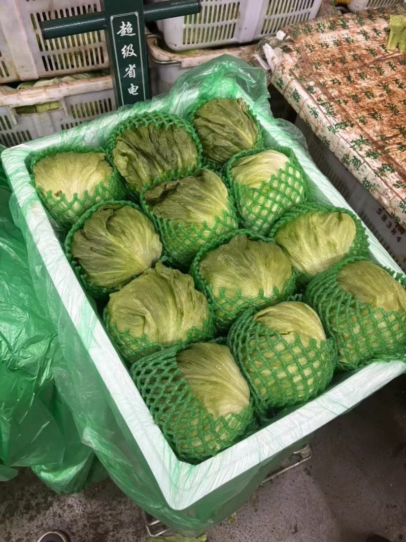 球生菜